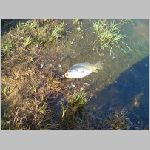 Tust 13.10.2008-29.JPG